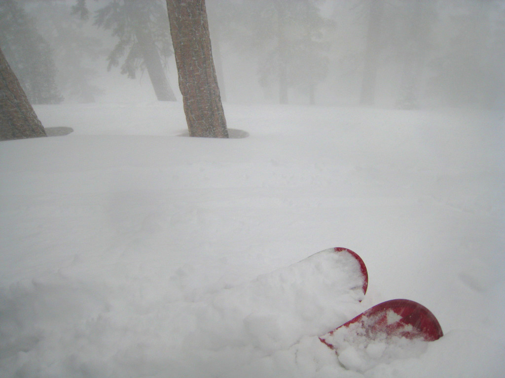 East Bowl Trees during a storm - February 2011