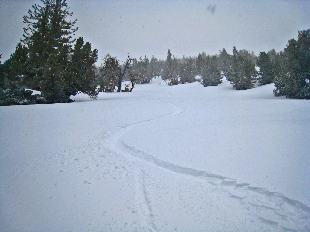 Maggie's Bowl - February 2011
