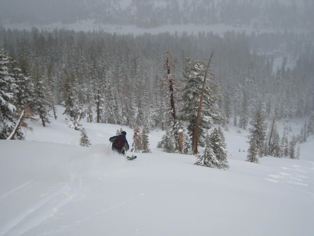 Palasades, January 2010