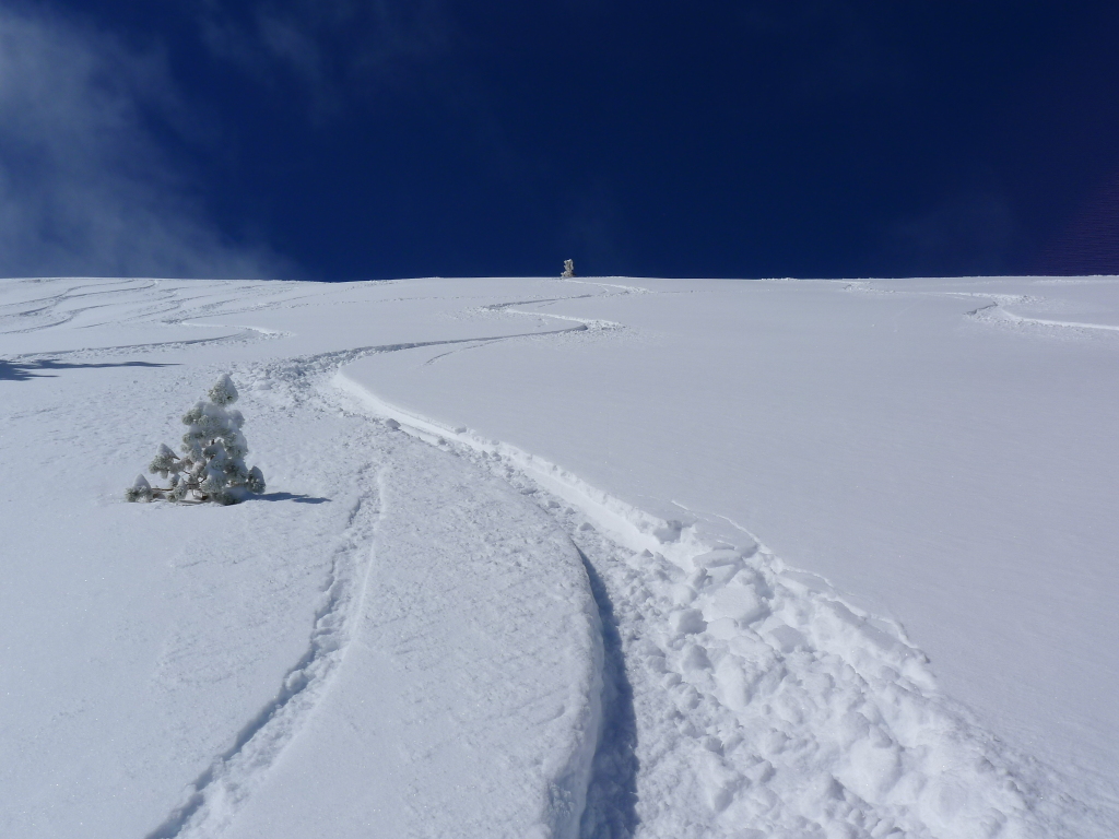 Palisades at Kirkwood, March 30 2014