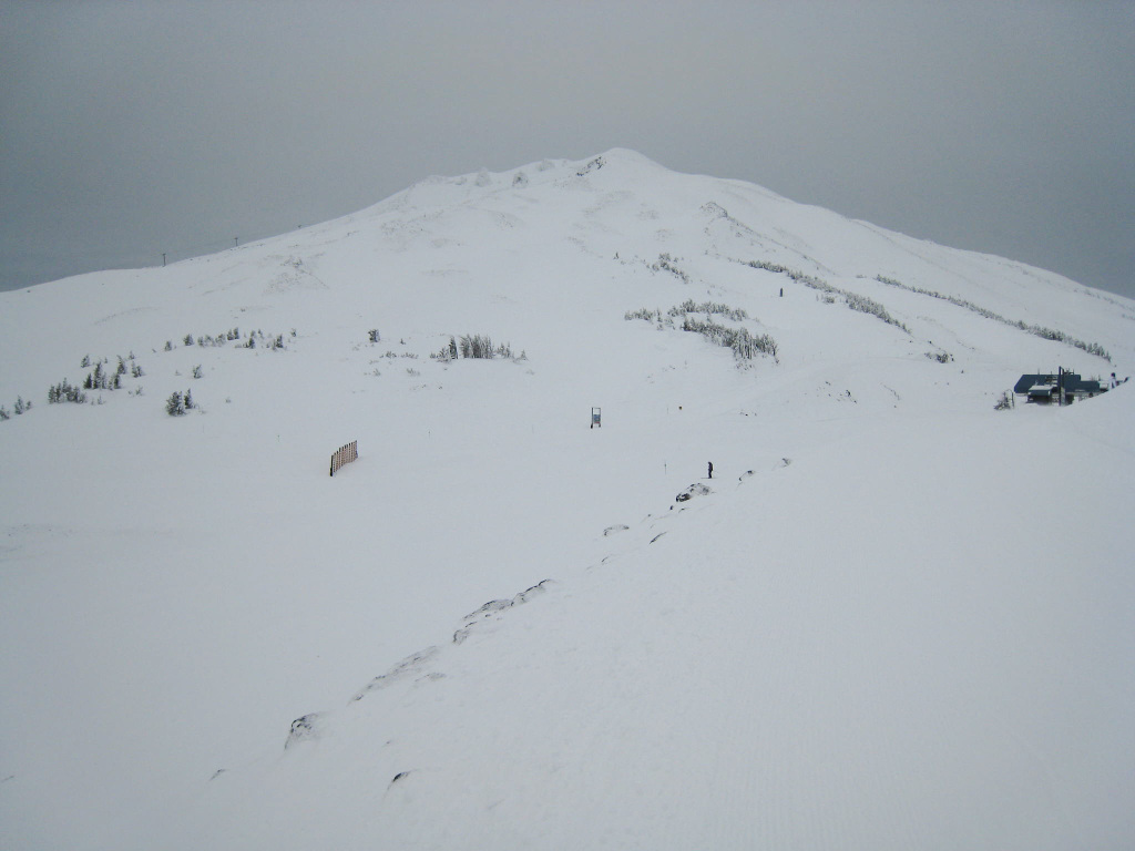 Mt Bachelor upper mountain, January 2010