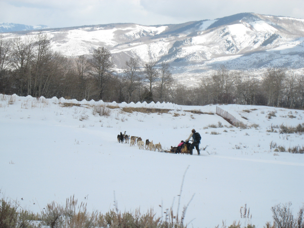 Dog Sledding near Beaver Creek