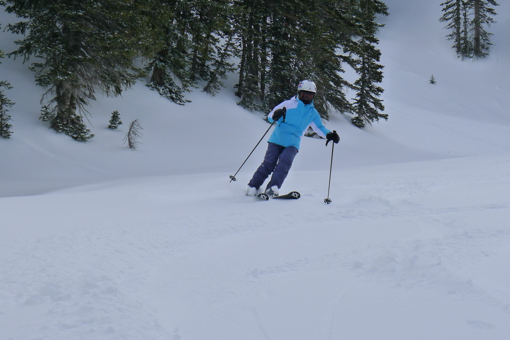 Alta powder in Catherine's - February 2015