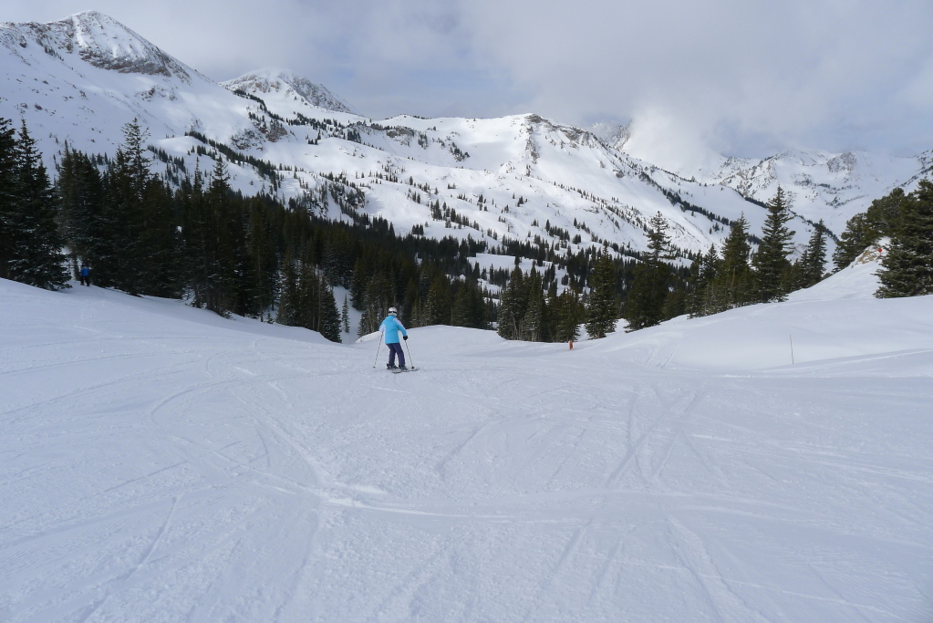 Alta groomer - February 2015