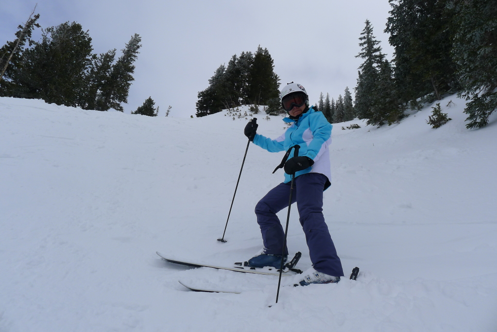 Alta Sidewinder Chute - February 2015