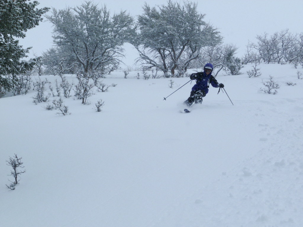 Powder skiing in the Iron Mountain Area, The Canyons, February 2011