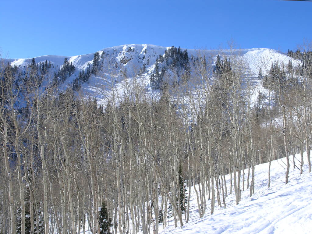 Daly Chutes at Deer Valley