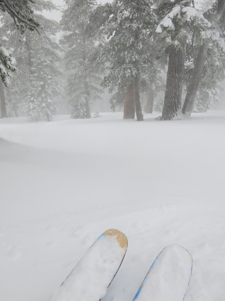 Heavenly tree skiing Dec 21, 2015