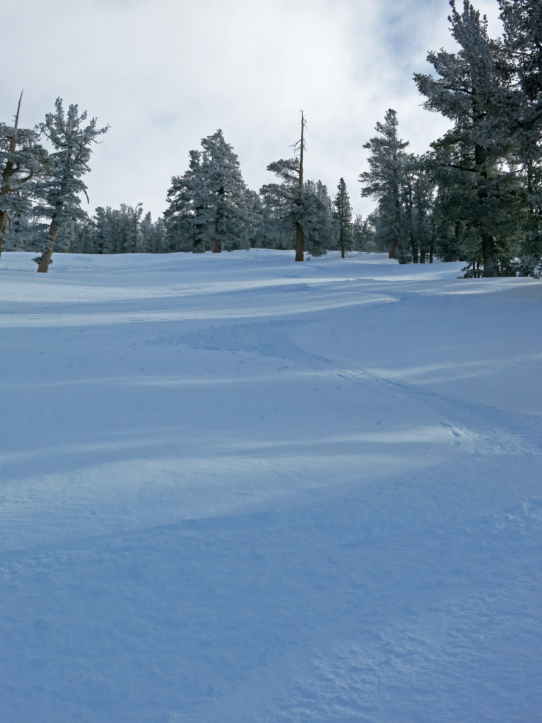 The Pinnacles at Heavenly, January 2016