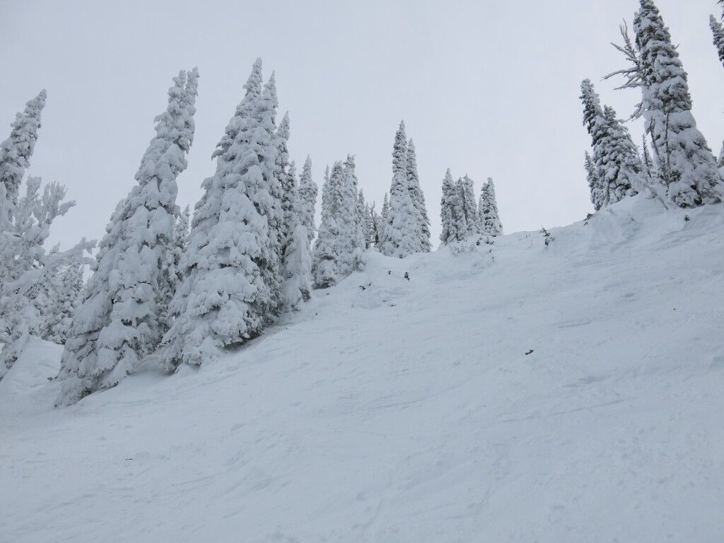 Double-black at Brundage, December 2015