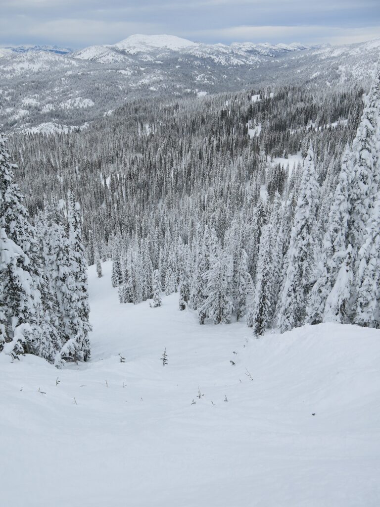 North side of Brundage, December 2015