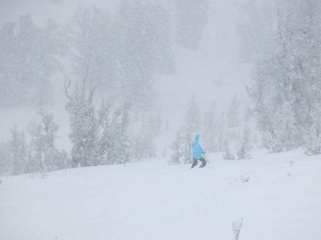 Milky Way Bowl at Heavenly, December 24, 2016