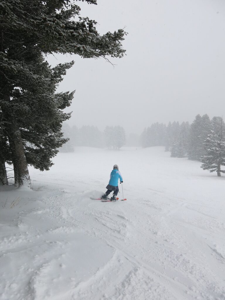 Bridger Bowl, December 30, 2016