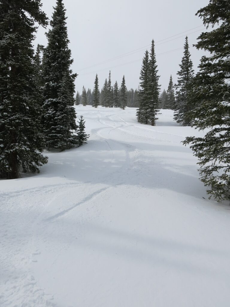 Powder at Snowmass, March 2016