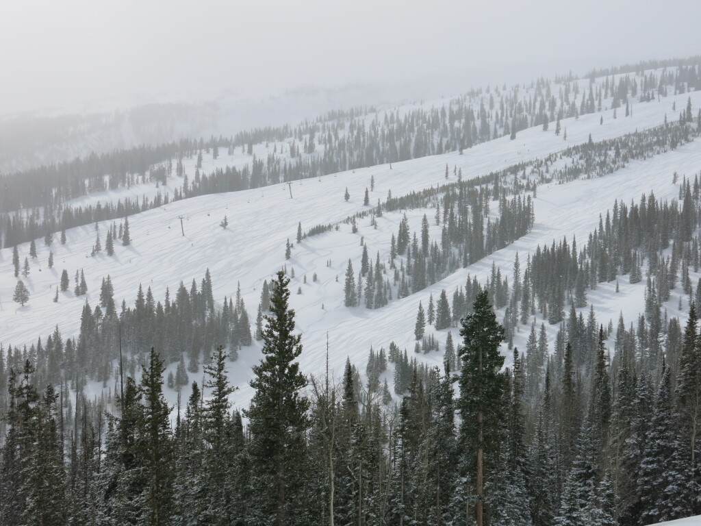 Big Burn powder at Snowmass, March 2016