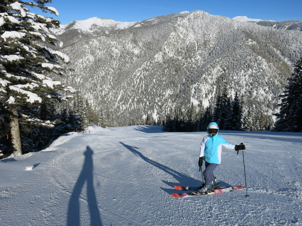 Porcupine at Taos, January 2015