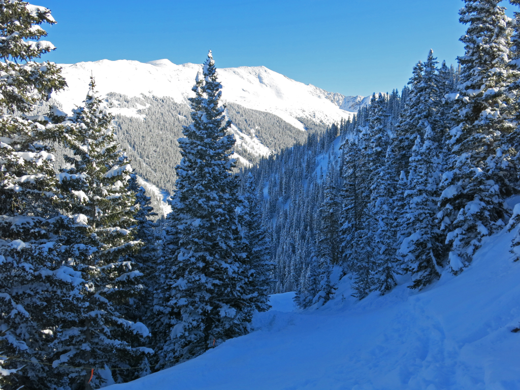 Top of Longhorn at Taos, January 2015