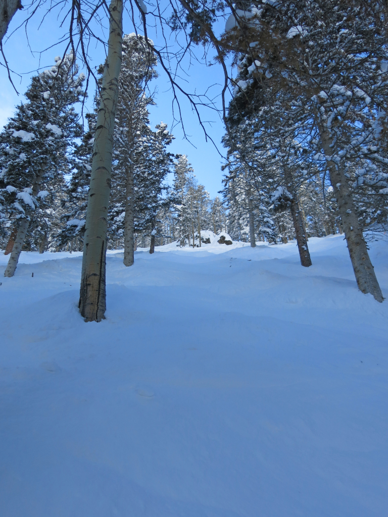 Ernie's run at Taos, January 2015