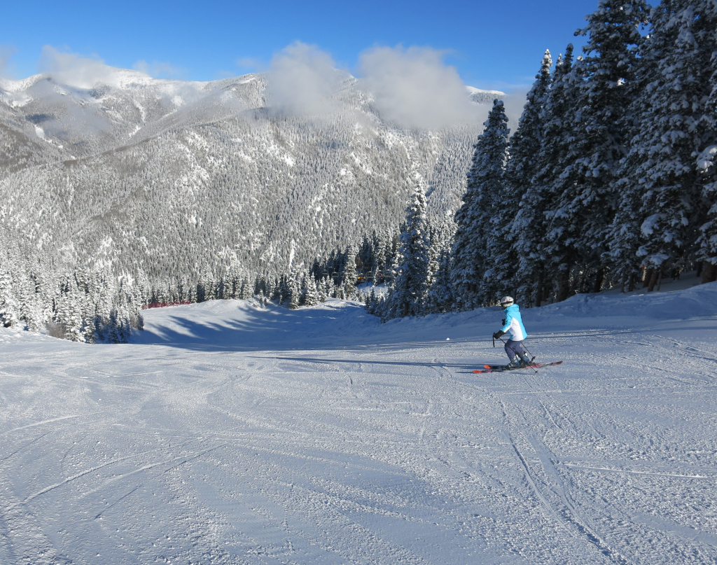 Firlefanz at Taos, January 2015