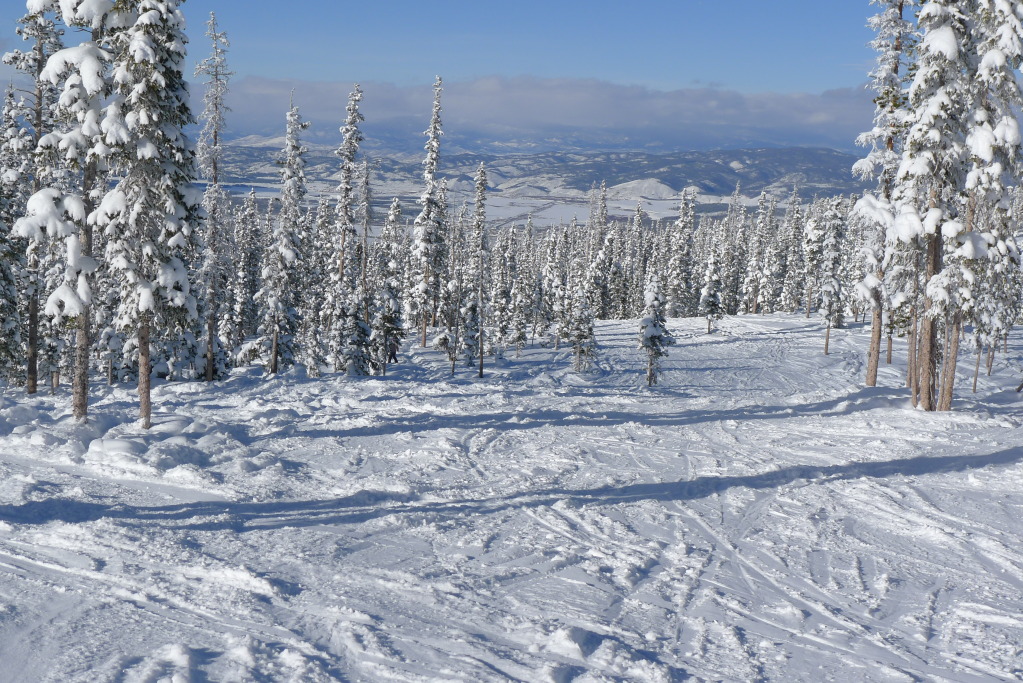 Lots of tree skiing at Winter Park, December 2014