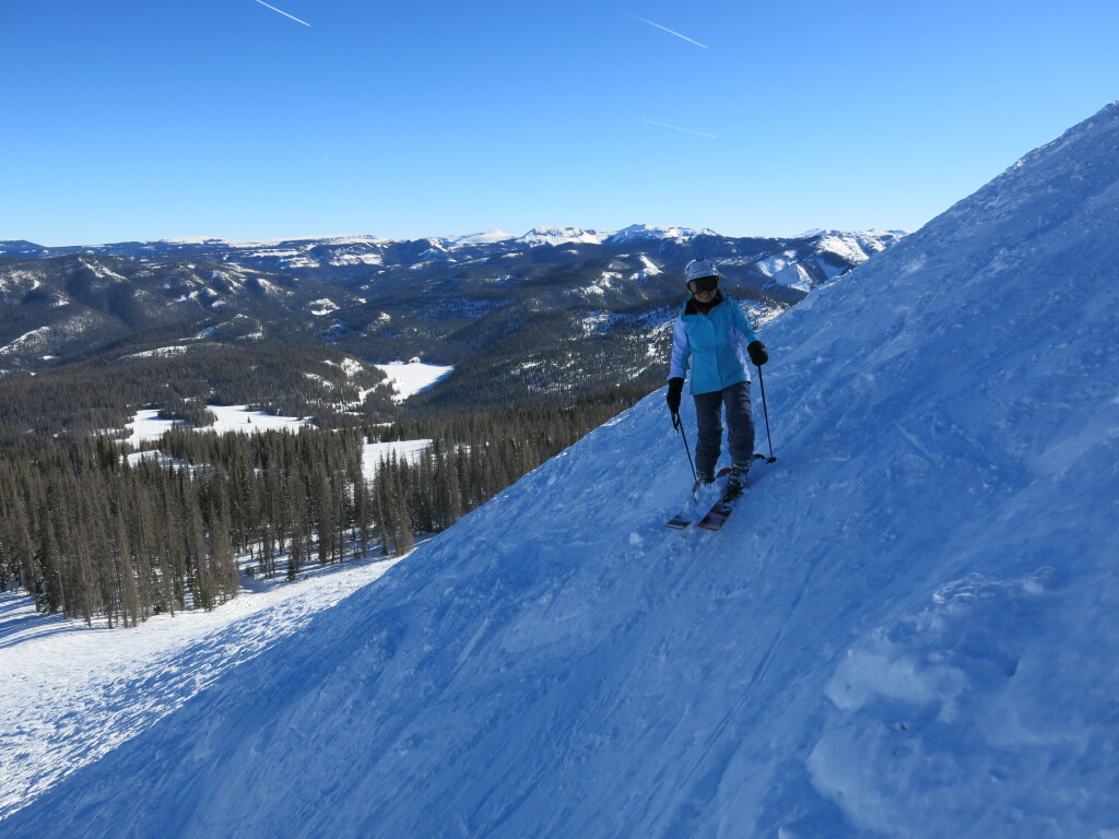 Alberta Face at Wolf Creek, January 2015