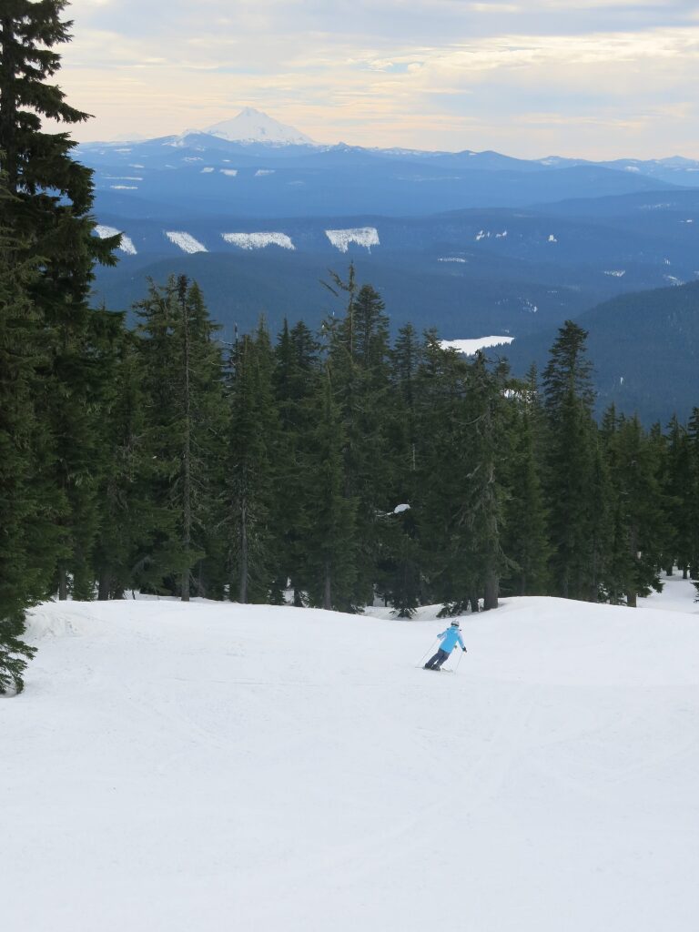 Kruzer at Timberline with Mt. Adams in the distance, February 2017