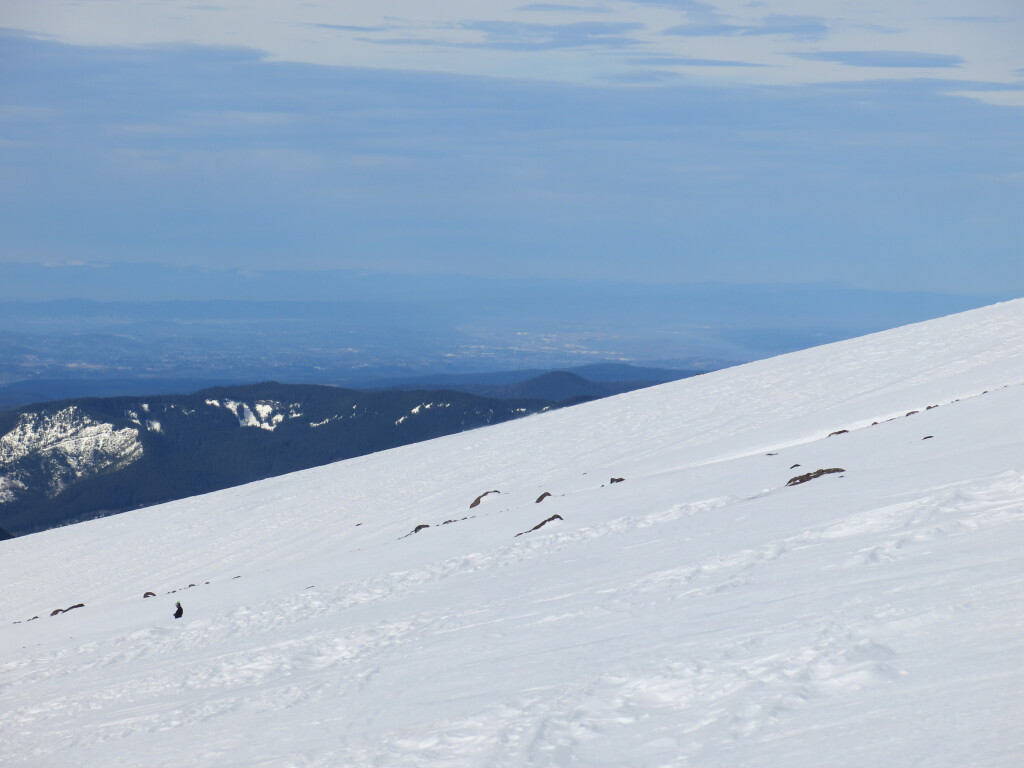 View of Portland from Timberline showing average slope of the upper mountain, February 2017