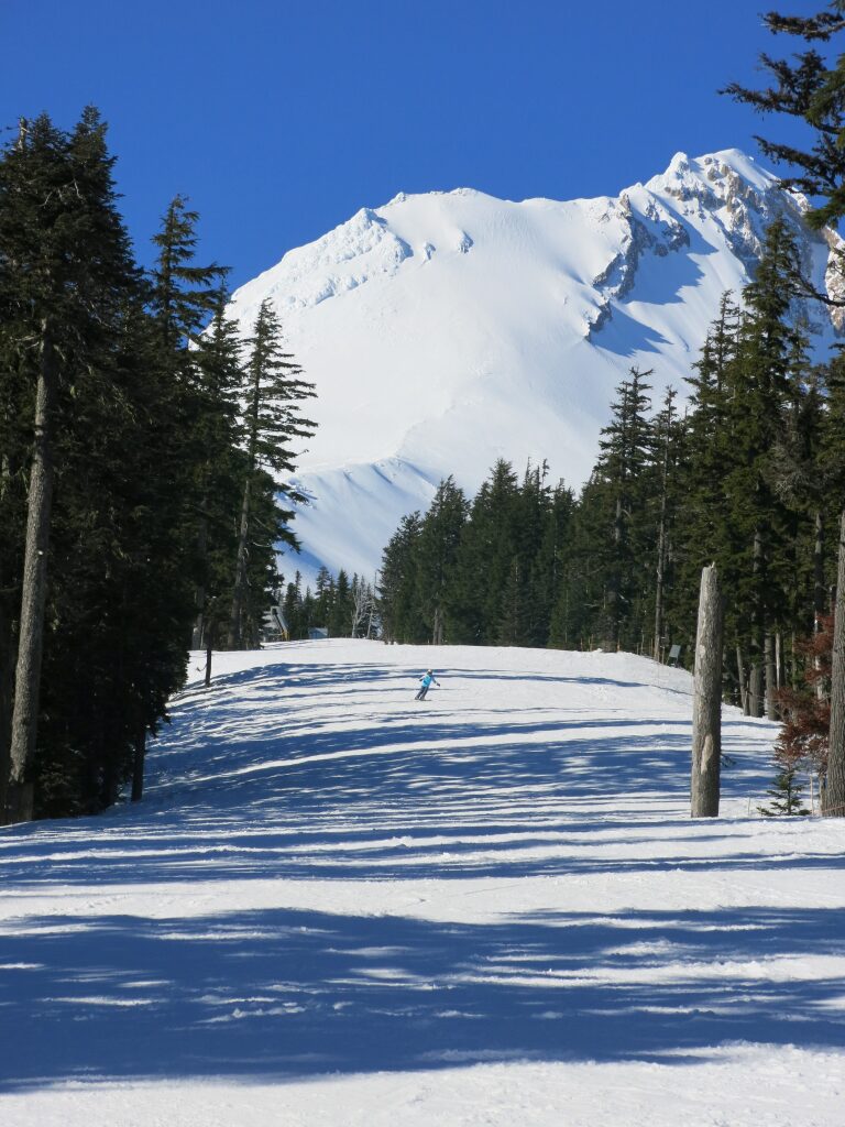 Terrain of the Hood River Express, Mt. Hood Meadows, February 2017