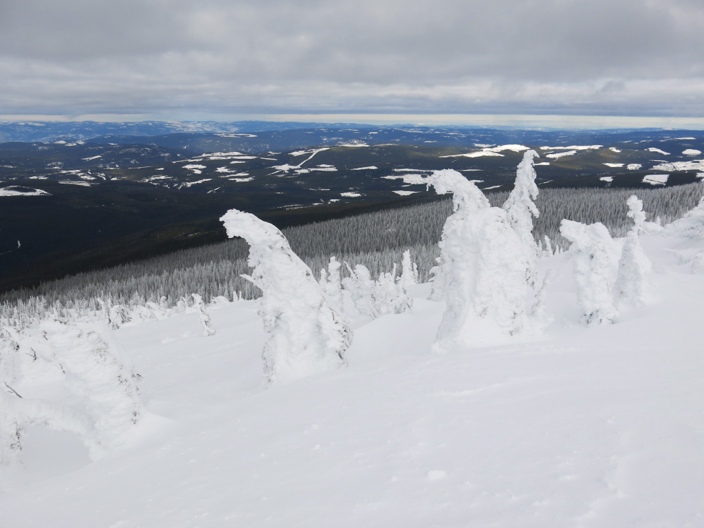 Snow Ghosts at the top of Big White, February 2017