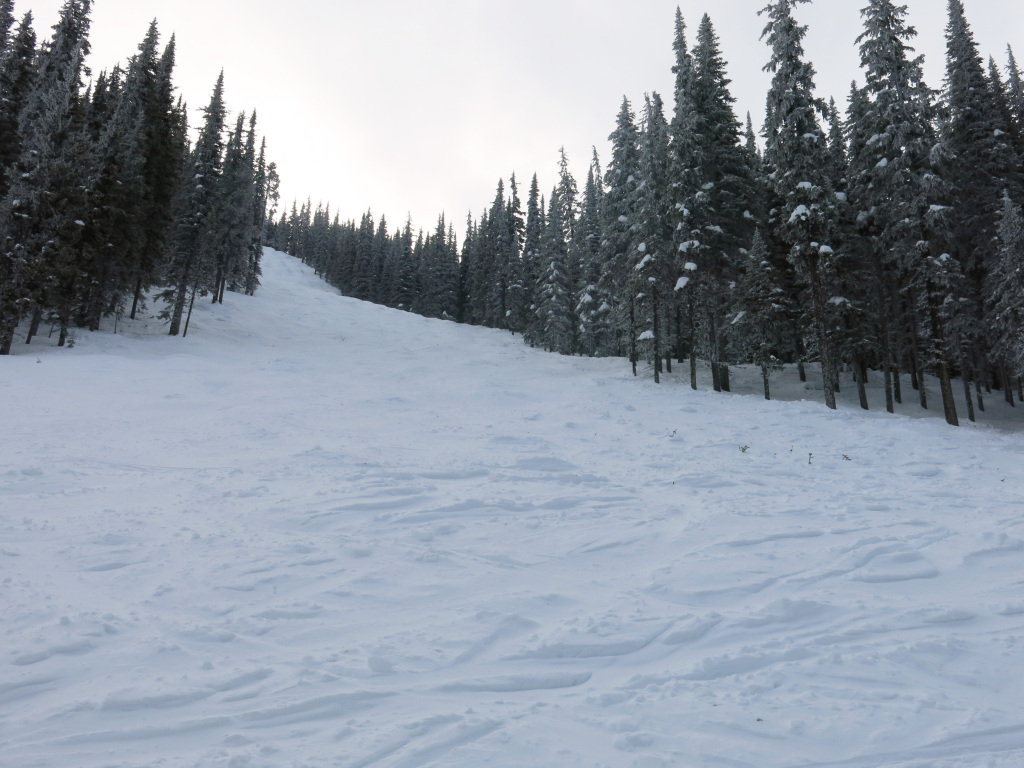 Steeper terrain on skier's right of Beaconsfield Mountain at Apex Mountain, February 2017