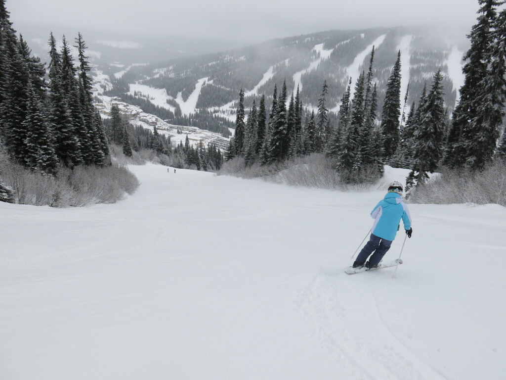 Nice intermediate terrain at Sun Peaks, February 2017