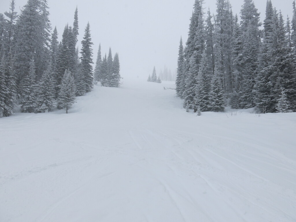 Crystal Chair terrain at Sun Peaks, February 2017