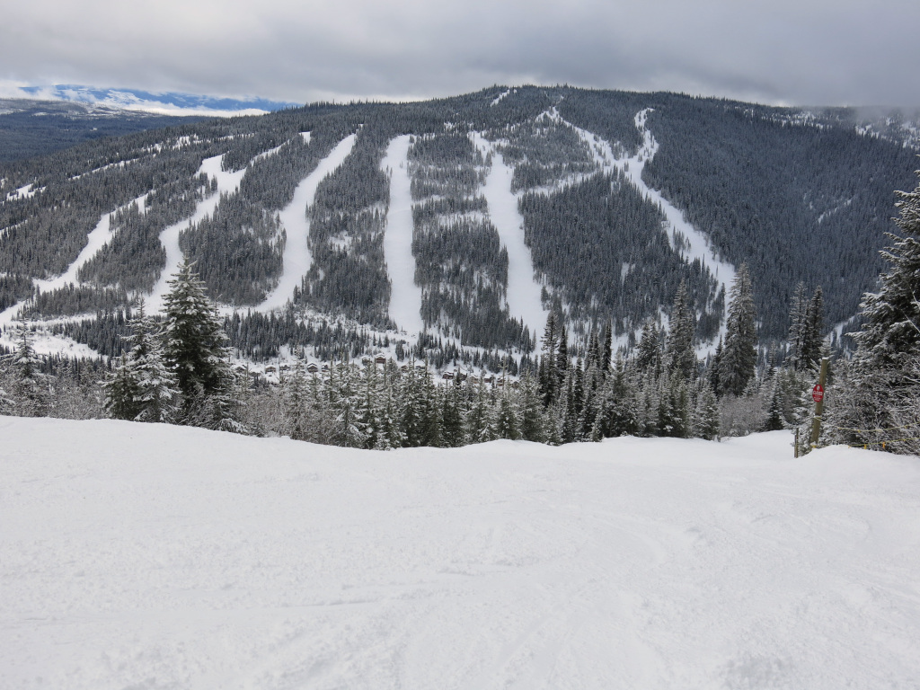 View of Mt. Morrisey at Sun Peaks, February 2017