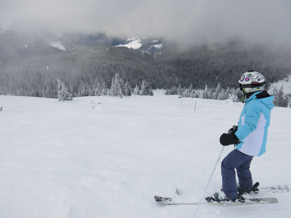 Open terrain at the top of Mt. Todd at Sun Peaks, February 2017