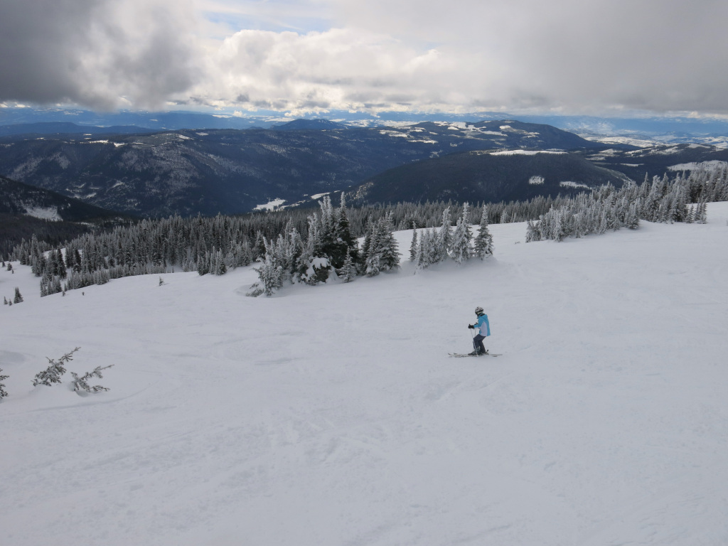 T-Bar terrain at Sun Peaks, February 2017