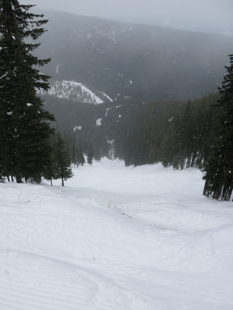 Rusty Whistle double-black terrain at Silver Star, February 2017