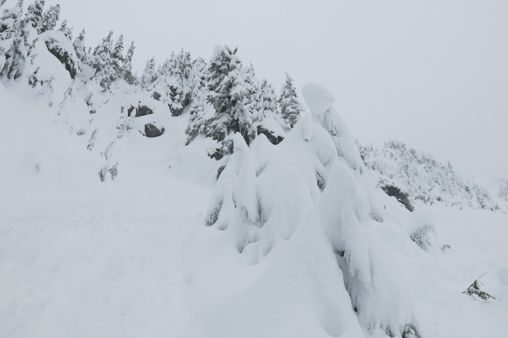 This is marked as open terrain with "No easy way down" at Stevens Pass, December 2017