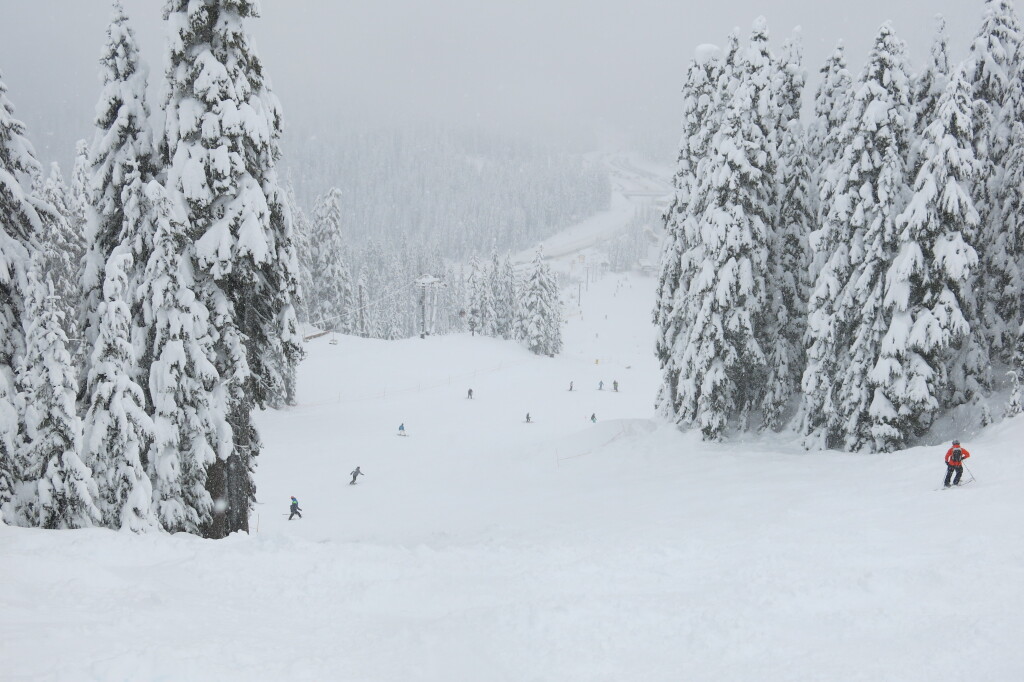 Frontside terrain at Stevens Pass, December 2017