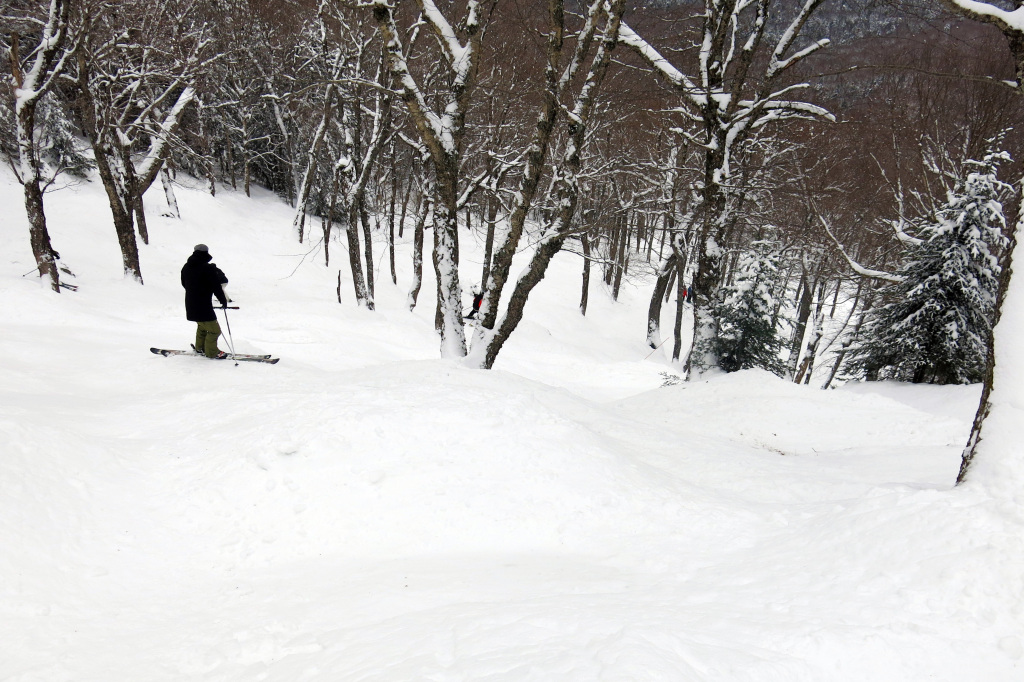 Buzz at Mont-Tremblant, February 2018