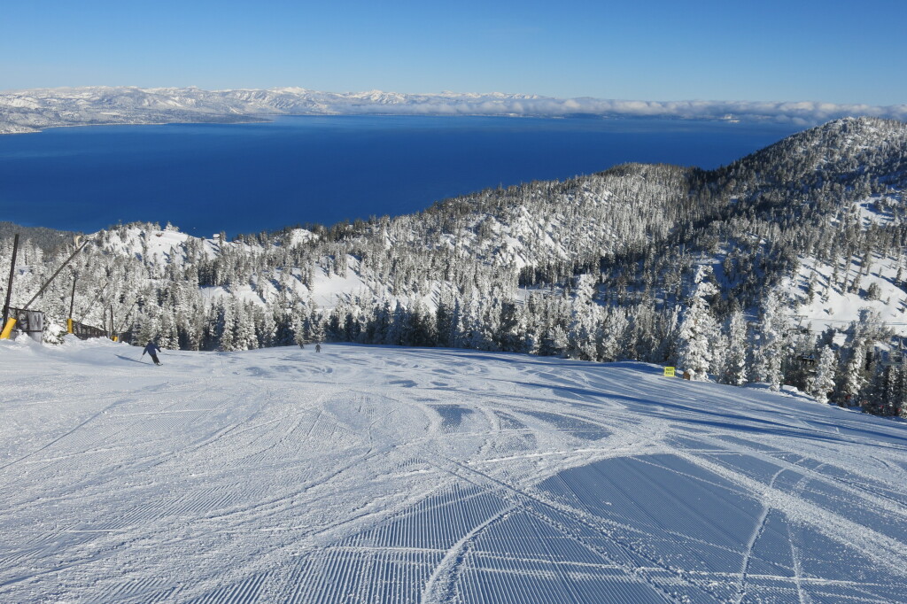 Fantastic grooming at Heavenly, March 2018