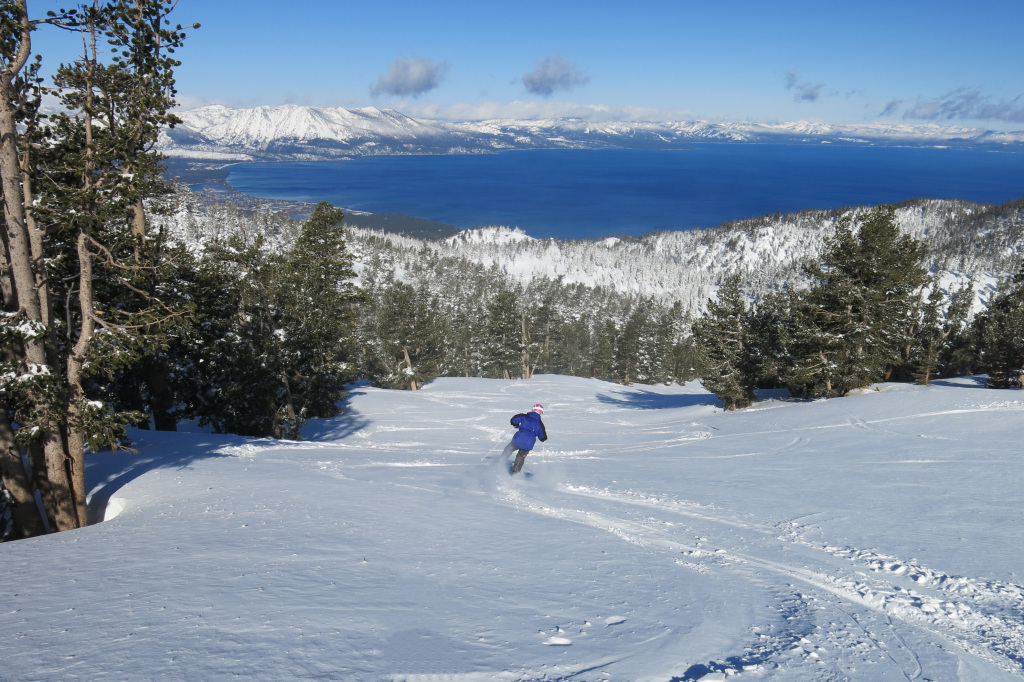 Heavenly bluebird powder, March 2018