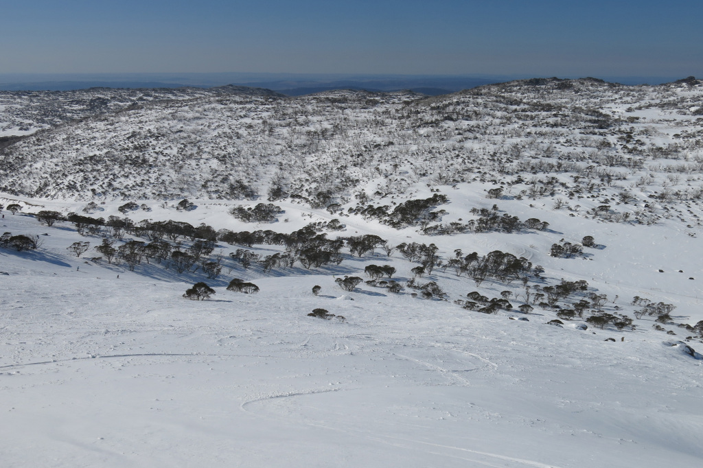 Mt. Perisher soft snow off the Eyre T-bar