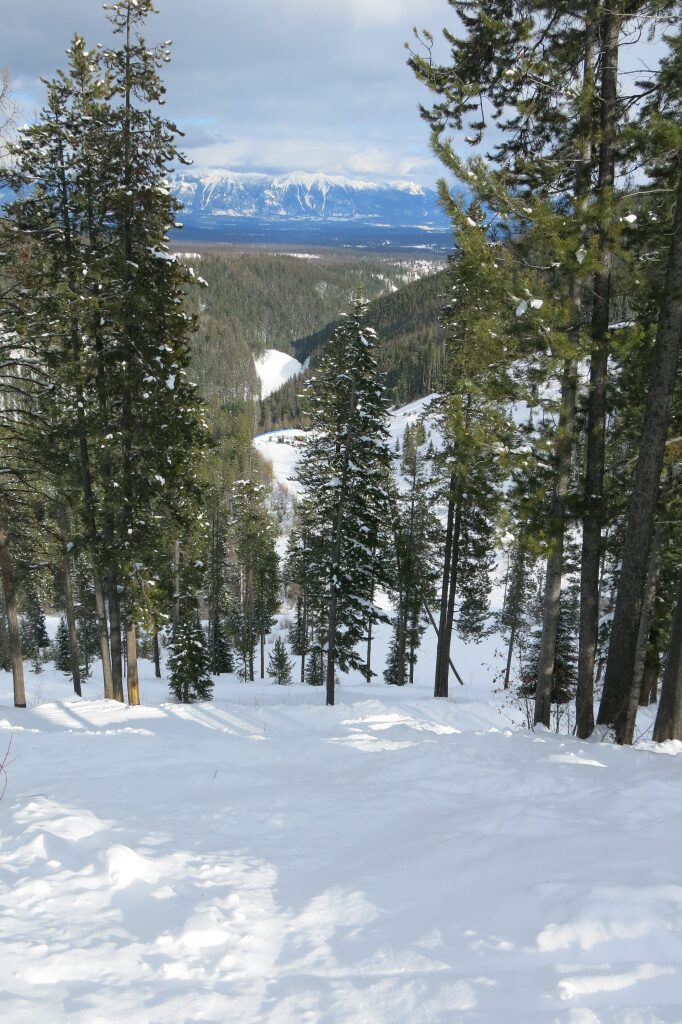 Kimberley tree skiing, February 2018