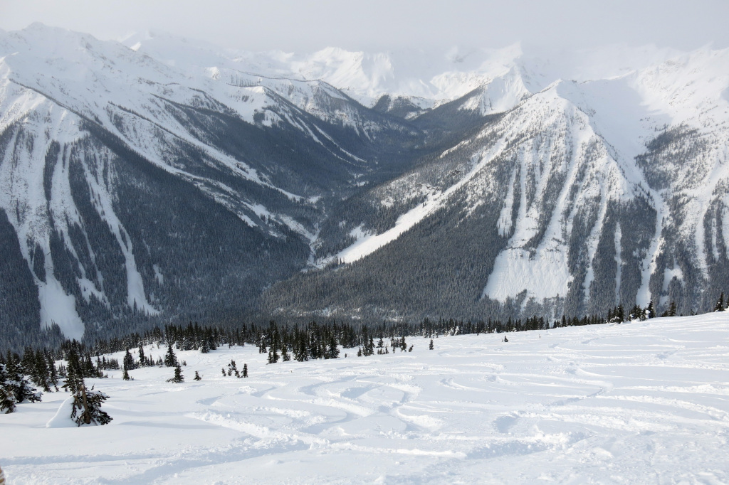 Incredible backcountry accessed from the top of the ridge at Kicking Horse, February 2018