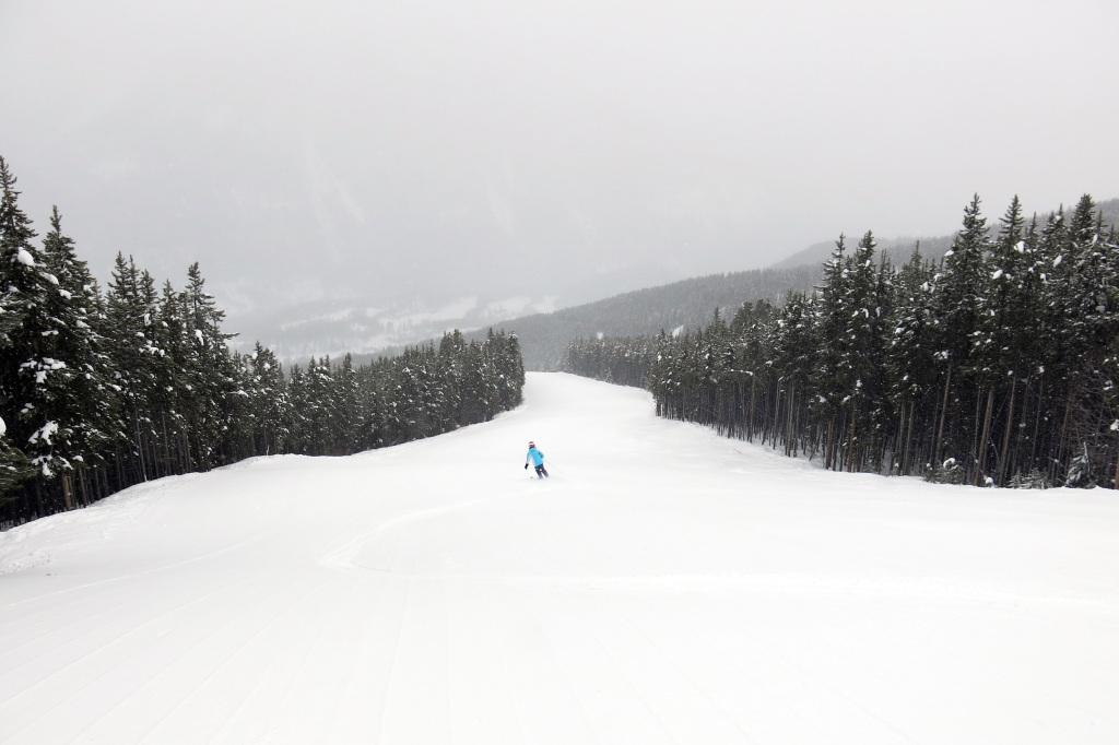 Schoebers Dream at Panorama, February 2018