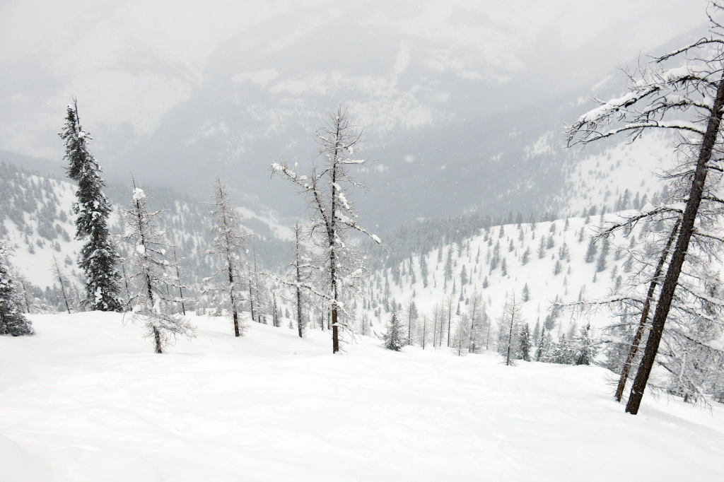 Taynton Bowl at Panorama, February 2018
