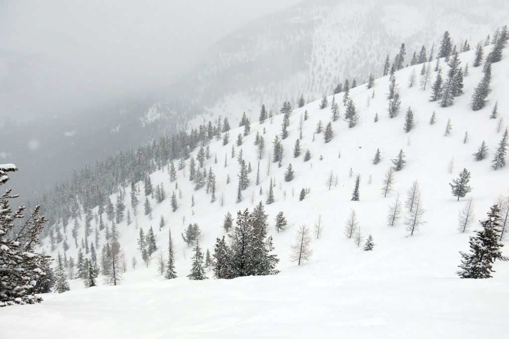 Endless lines in Taynton Bowl at Panorama, February 2018