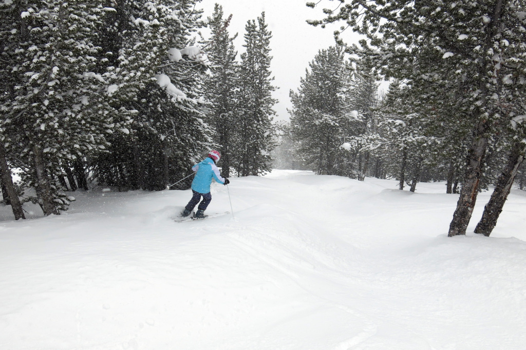 Tree skiing off the Summit Quad at Panorama, February 2018
