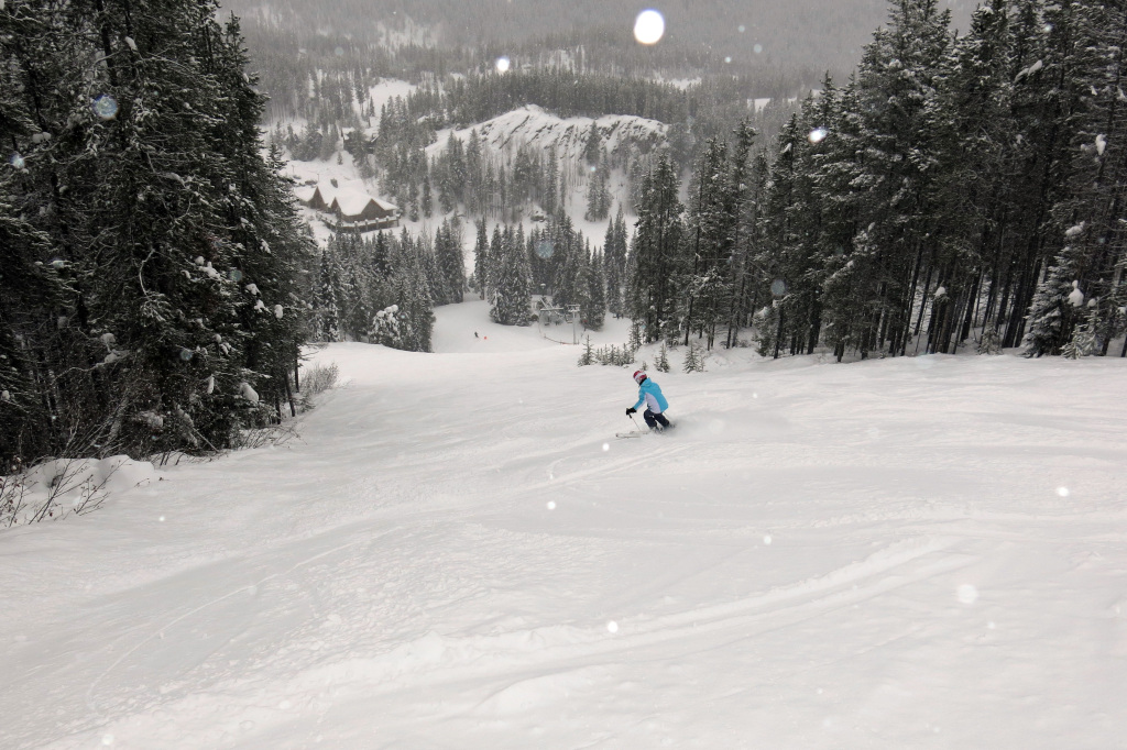 Soft snow off the Sunbird Chair at Panorama, February 2018