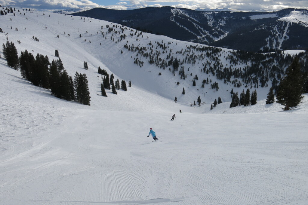 Ski North America 100: Back Bowls at Vail, December 2018